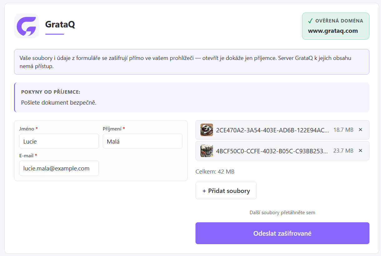 Náhled upload stránky s logem a ověřenou doménou